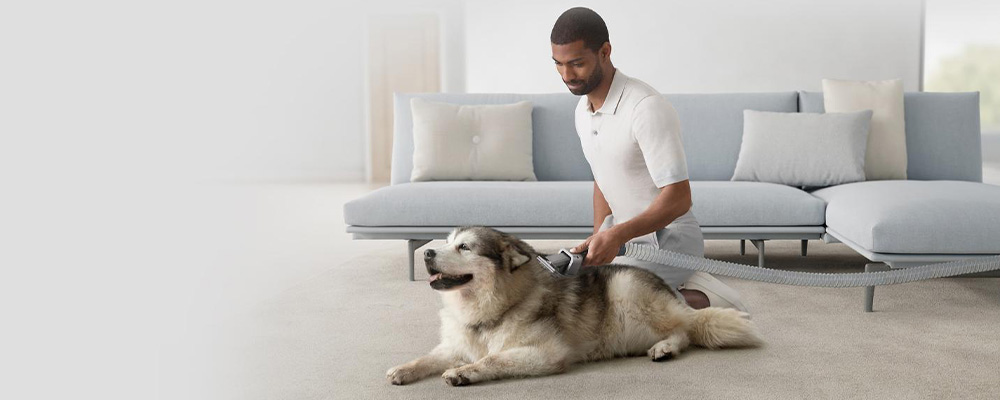Уход за питомцем с помощью Dyson Pet Grooming Kit